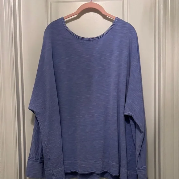 Fresh Produce Light Blue Long Sleeve Top Oversized Large - Picture 4 of 4